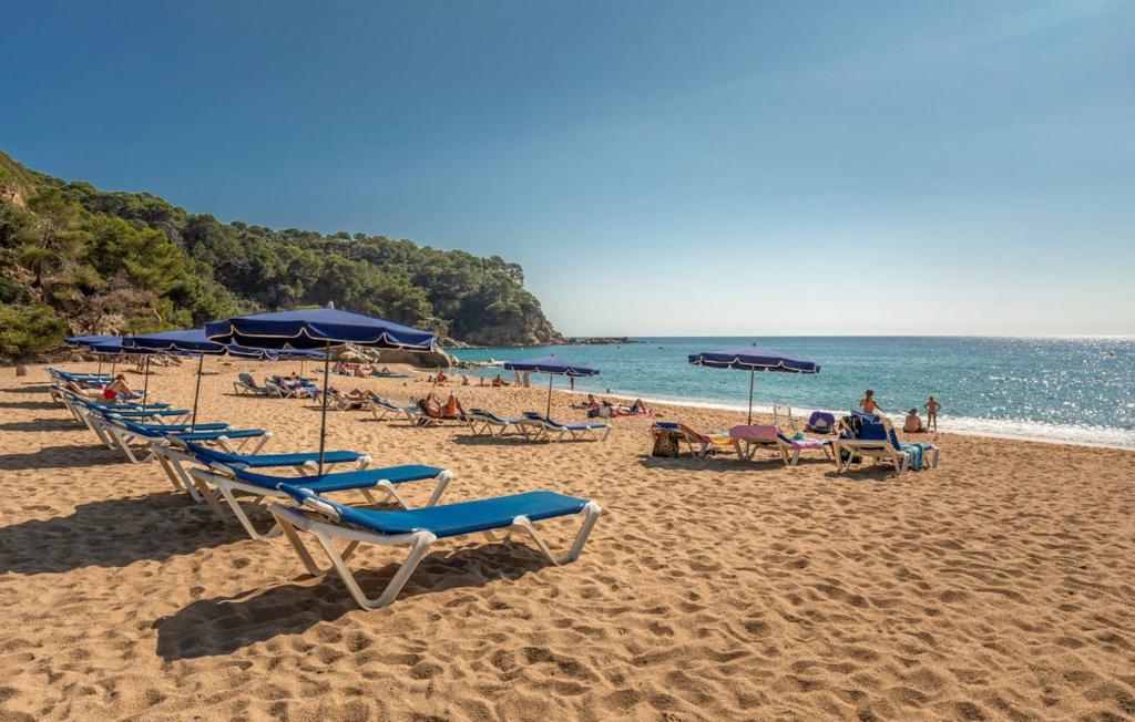 Villa Olombel Massanet De La Selva Dış mekan fotoğraf